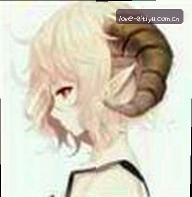 郑宇